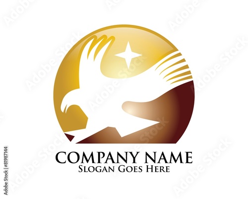 Star Eagle Logo Vol. 3