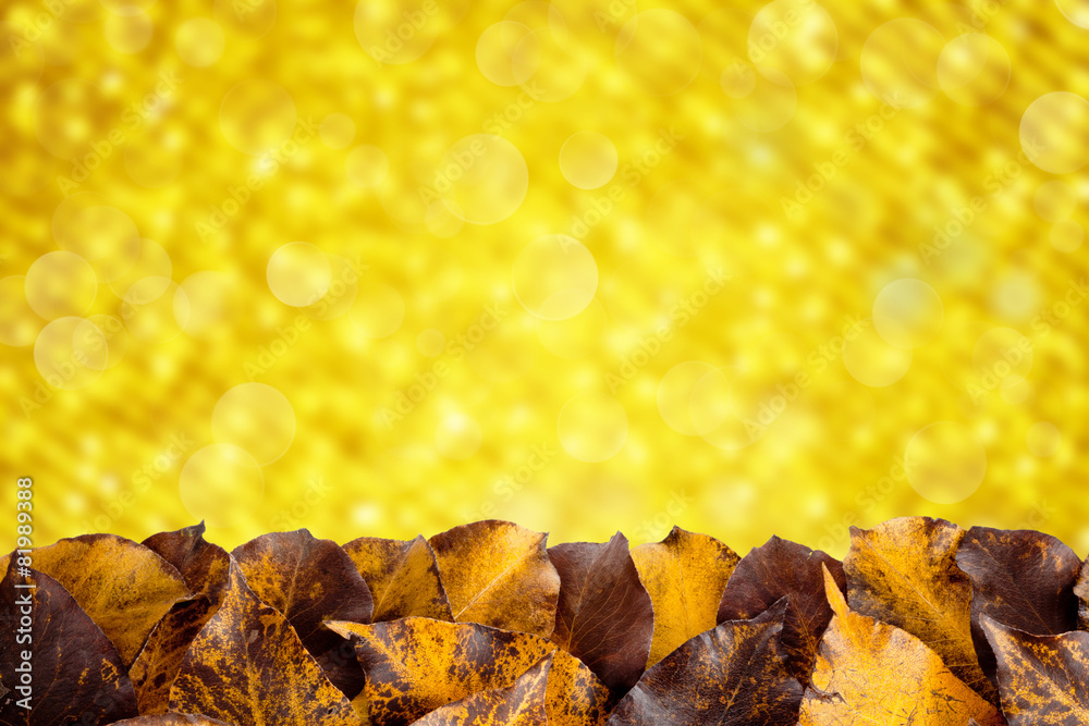 Autumn leaves on a gold background Autumn leaves on a gold background