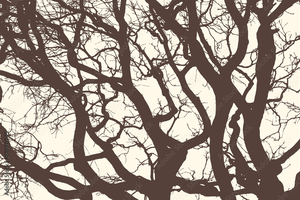 Obraz premium silhouettes of trees