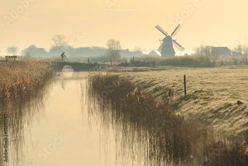 Cyclist in the Dutch countryside during a foggy, spring sunrise.