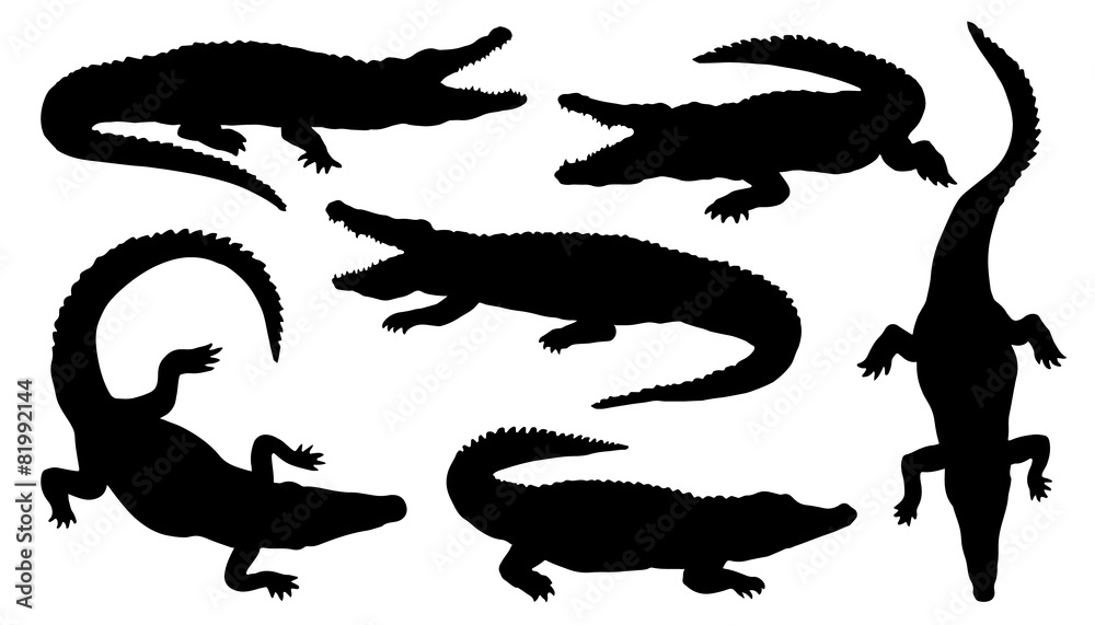 crocodile silhouettes - obrazy, fototapety, plakaty 