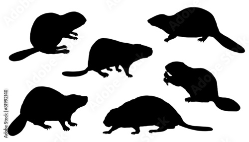 beaver silhouettes photo