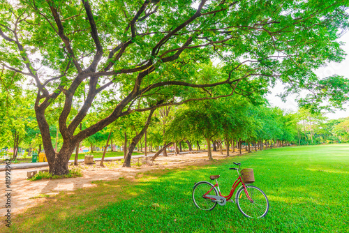 Red bicycle in park