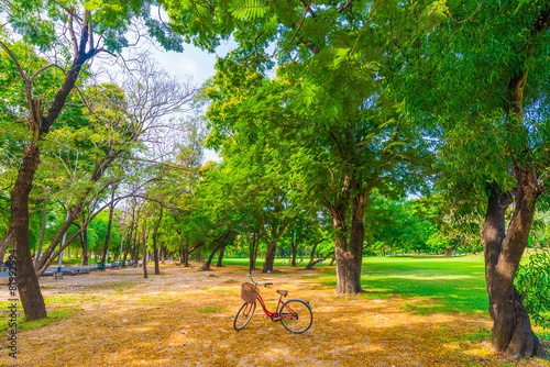 Photography Red bicycle in park