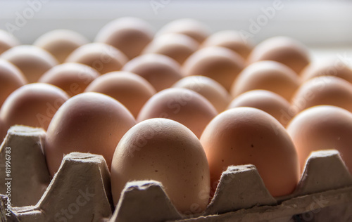 Canvas Print Egg tray