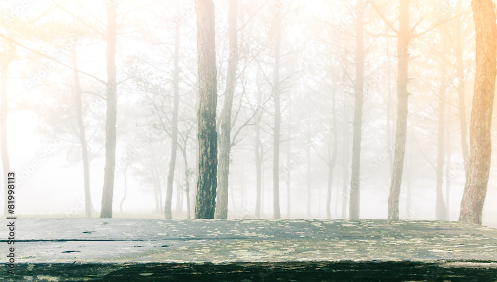 Wood table in forest tree during a foggy day ( Filtered image pr Wood table in forest tree during a foggy day ( Filtered image pr