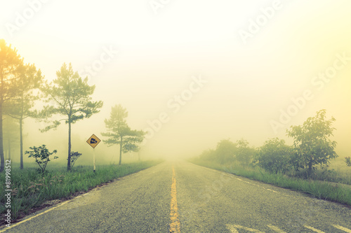 Road in fog with trees ( Filtered image processed vintage effect