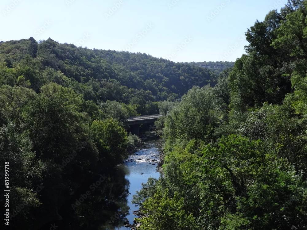River Between Trees in Bulgaria