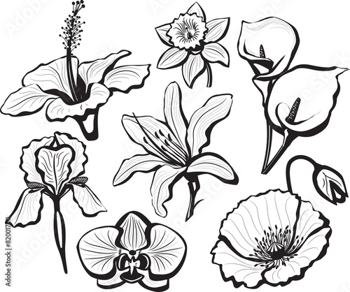 Set of flower heads