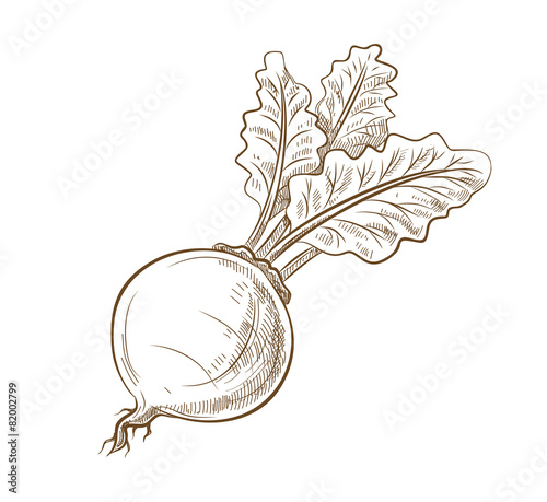 picture of beet with leaves