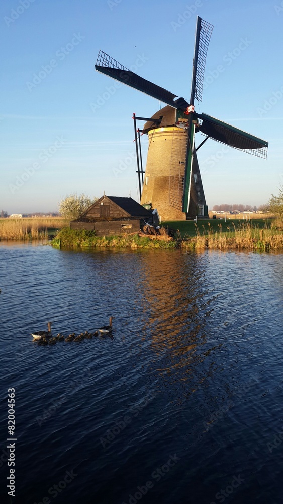 Windmill and duck family in canal