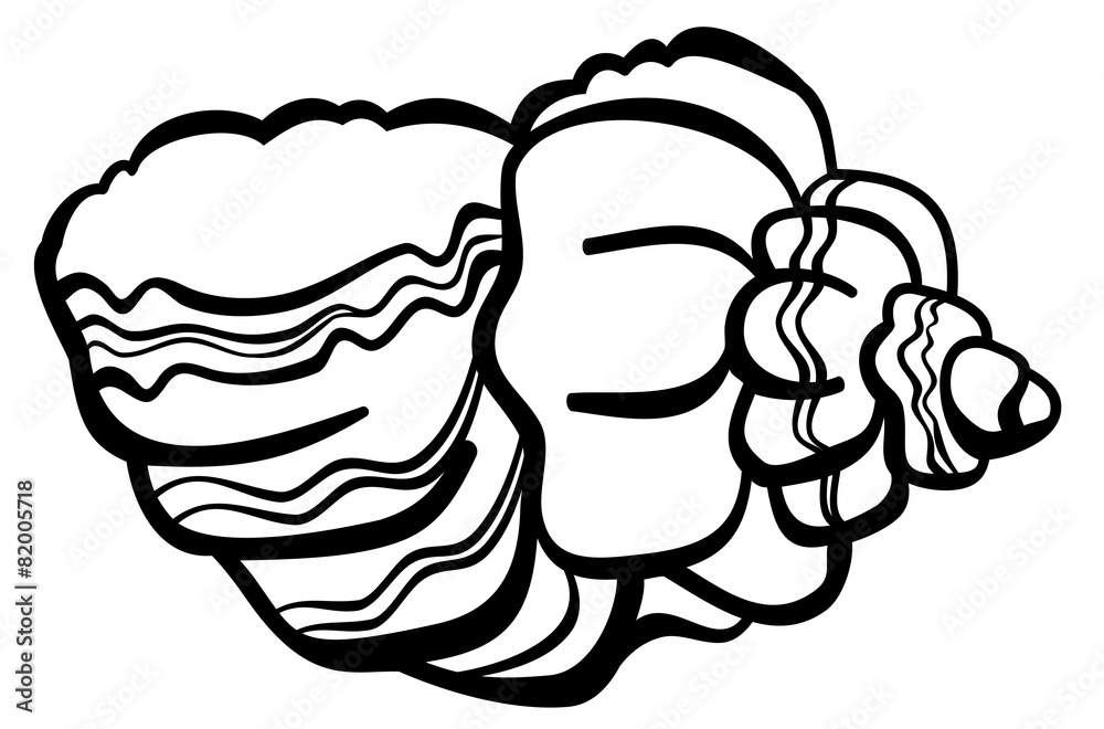 Contour image of a shell Contour image of a shell