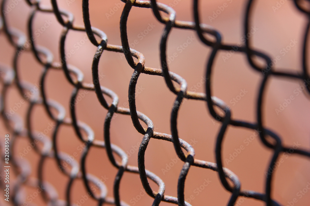 Fototapeta premium Metal mesh