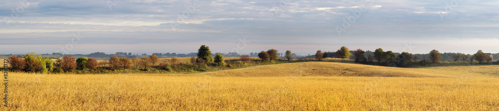 Golden autumn