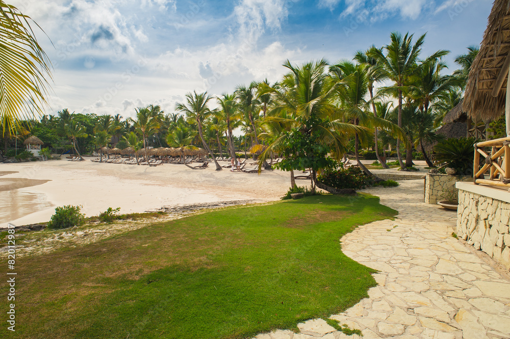 Fototapeta premium Palm trees on the Wild tropical caribbean sand beach in