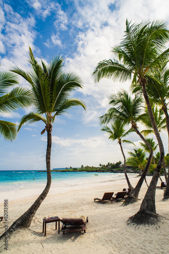 Palm trees on the Wild tropical caribbean sand beach in