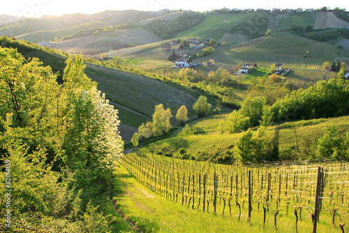 Valle dell'Ongina, colli piacentini