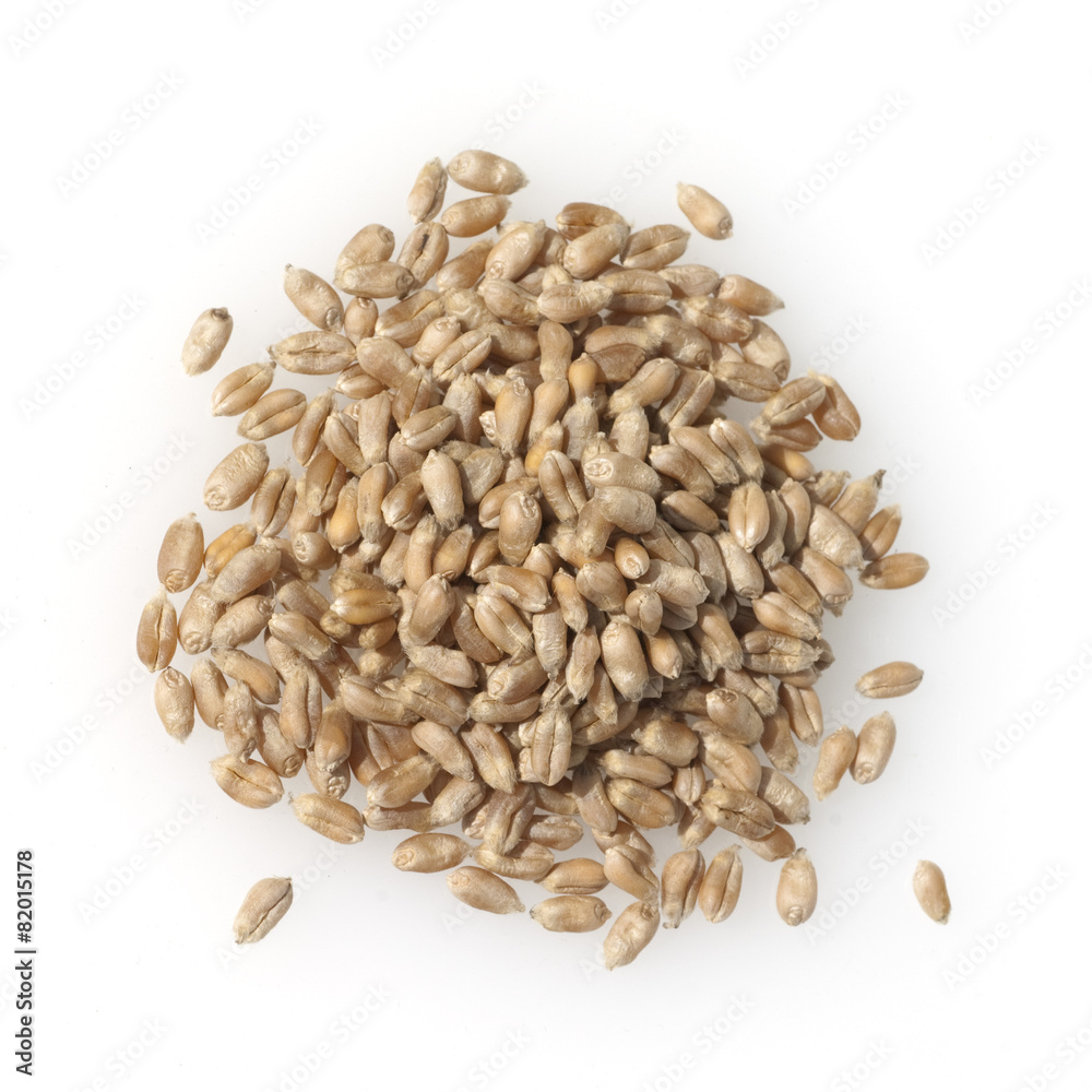 Triticale, Wintertriticale, Triticosecale, rimpauii, Triticale, Wintertriticale, Triticosecale, rimpauii,