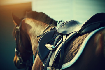 Sierkussen Paardrijden Zadel met stijgbeugels op paardenrug  © Azaliya (Elya Vatel)