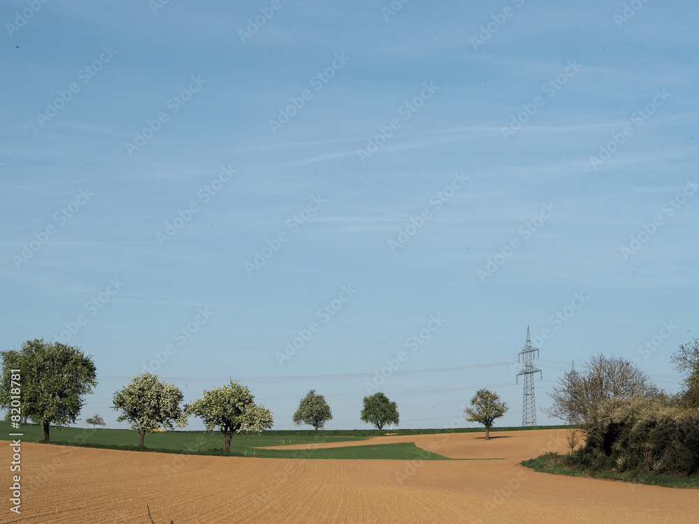 Fototapeta premium Landschaft mit Obstbäumen und Strommast