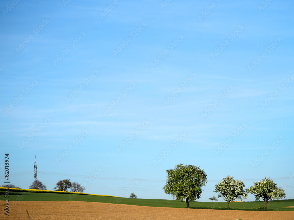 Fototapeta premium Landschaft mit Obstbäumen und Strommast