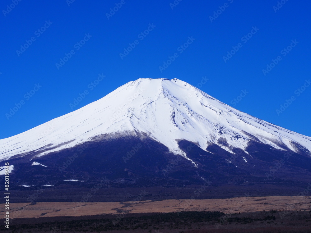 春の富士山