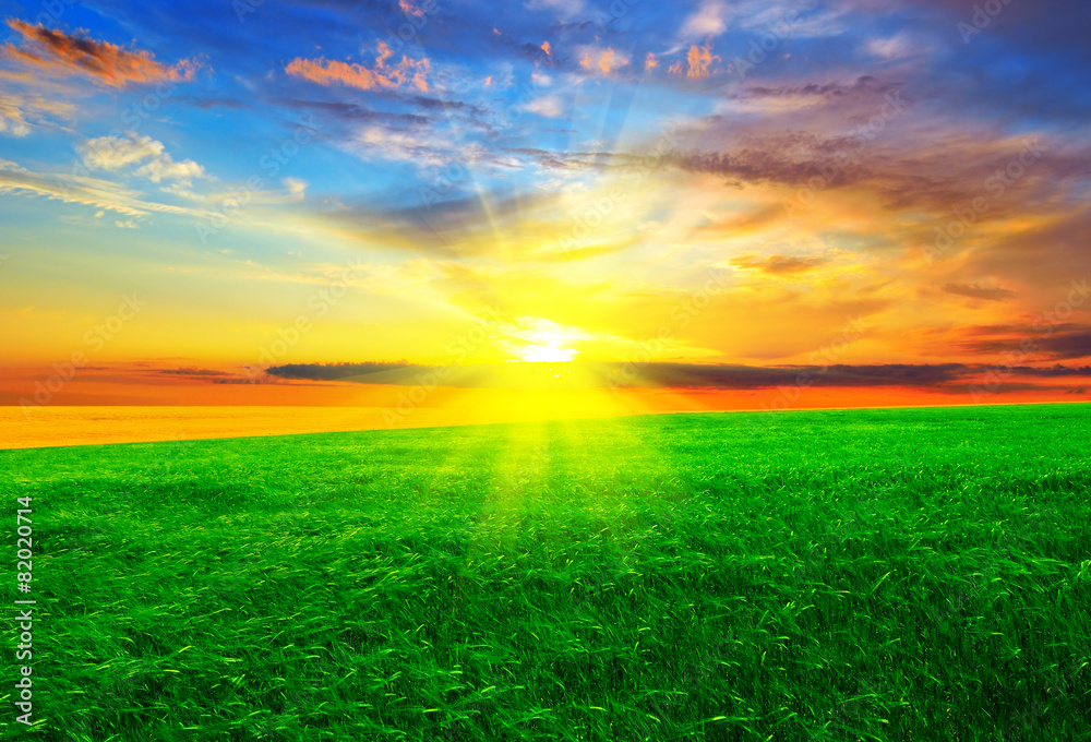 Beautiful sunset Beautiful sunset