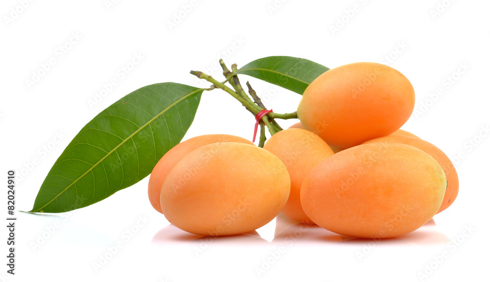 plum marian fruit on white background plum marian fruit on white background