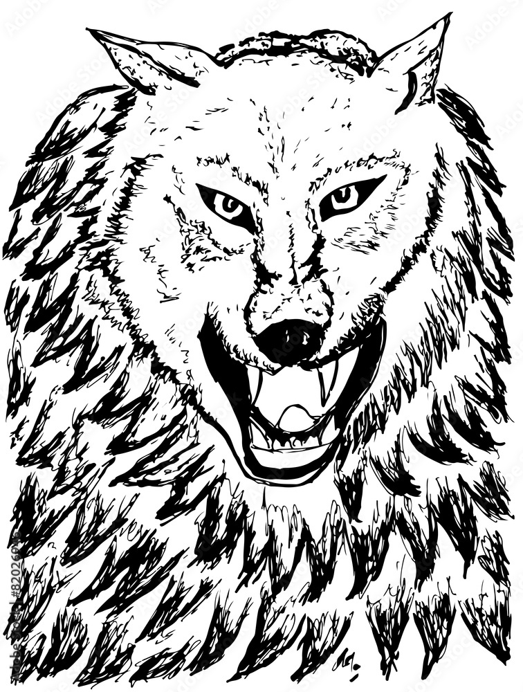Abstract Wolf Sketch Abstract Wolf Sketch