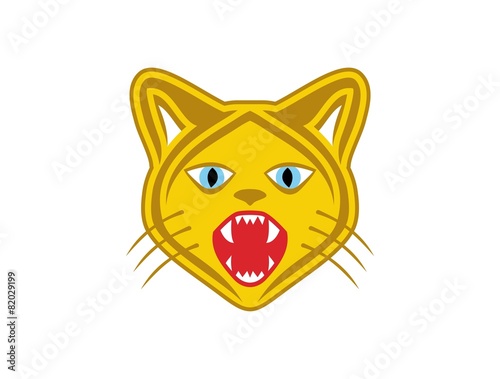 CAT head 1