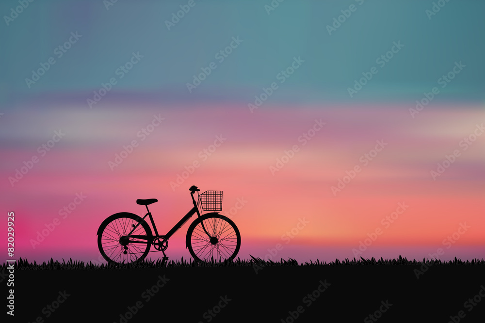 The bike with sunset on the meadow