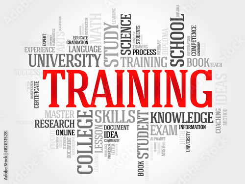 TRAINING word cloud, business concept