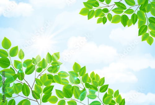 空と緑
