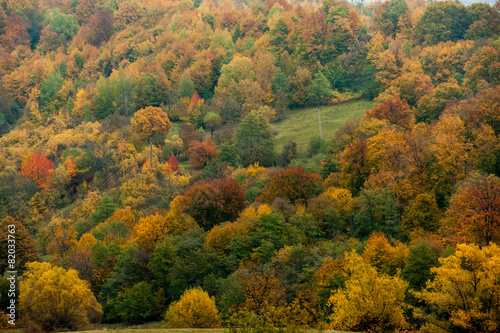 Autumnal landscape