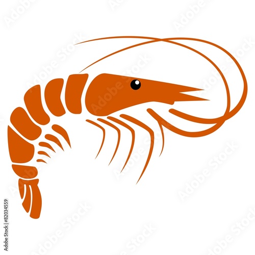 Shrimp - illustration