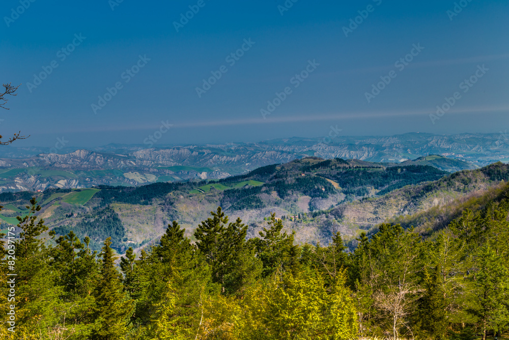 Fototapeta premium Green farmland on rolling hills