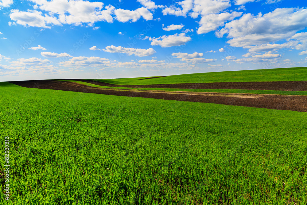 Fototapeta premium landscape with a farm field under sky with clouds