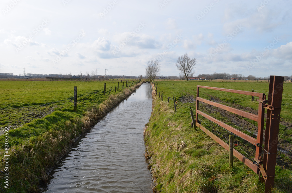 small river in countryside, Belgium