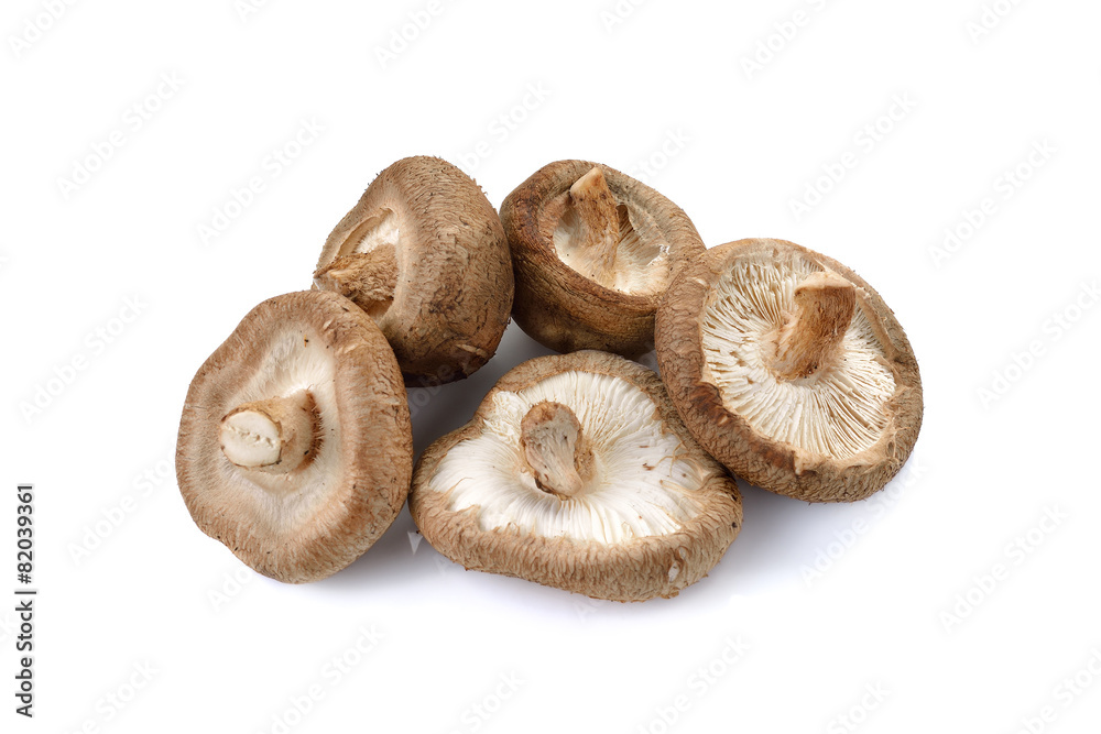 Shiitake mushroom on the White background Shiitake mushroom on the White background