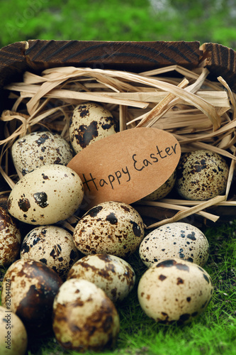 Bird eggs in wooden bucket on green grass background