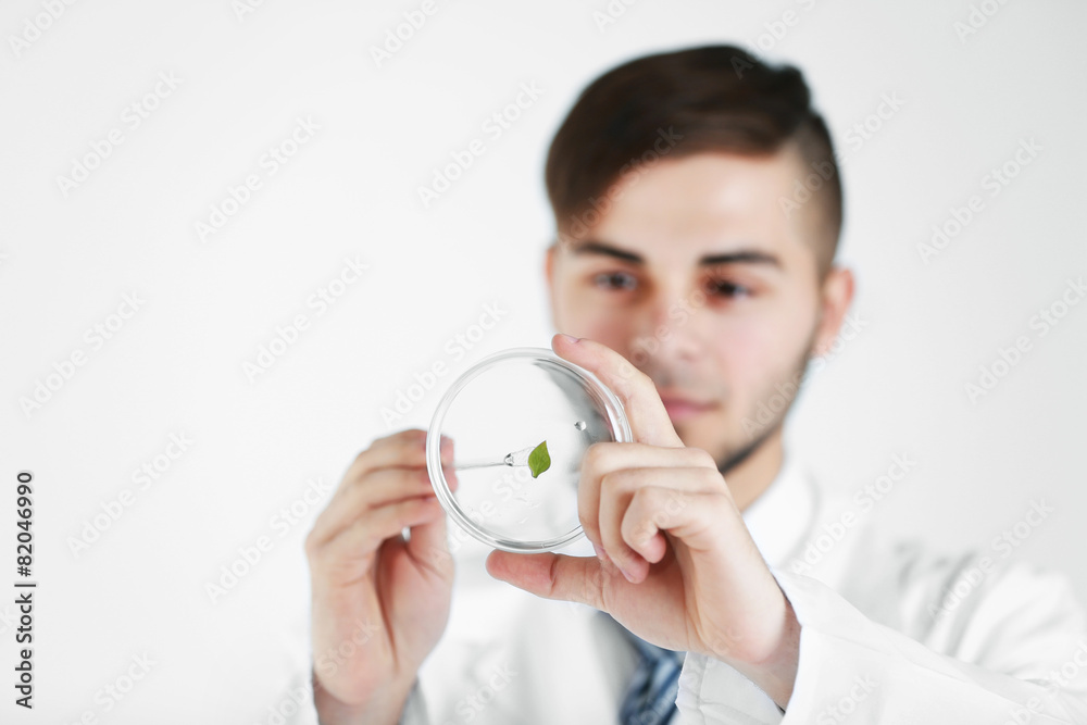 Man holding Petri dish with green leaf, close up Man holding Petri dish with green leaf, close up
