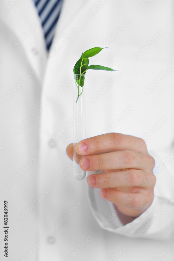 Man holding test tube with leaves, close up Man holding test tube with leaves, close up
