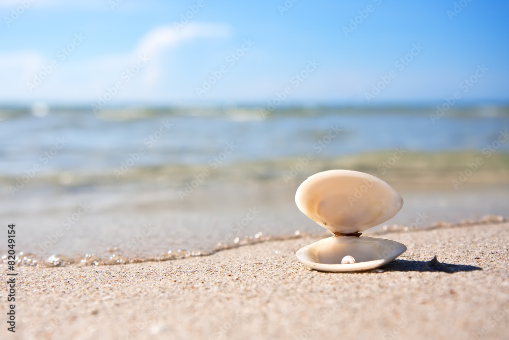 Sea shell with pearl Sea shell with pearl