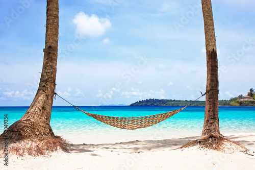 Hammock between palm trees