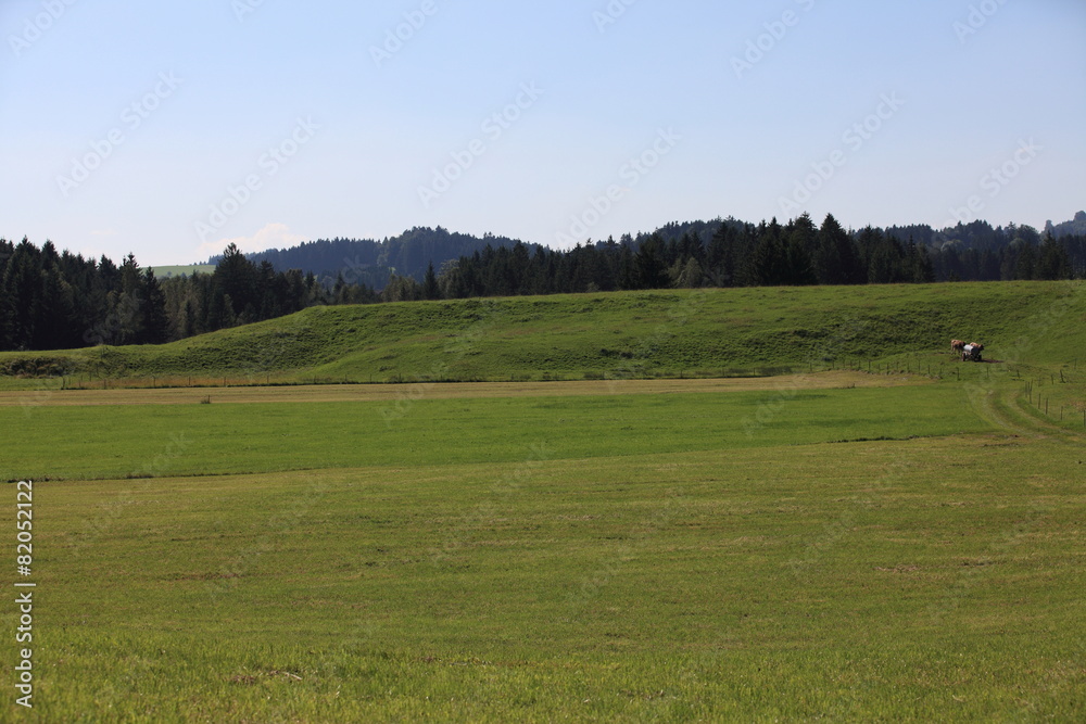 Fernblick im Allgäu Fernblick im Allgäu