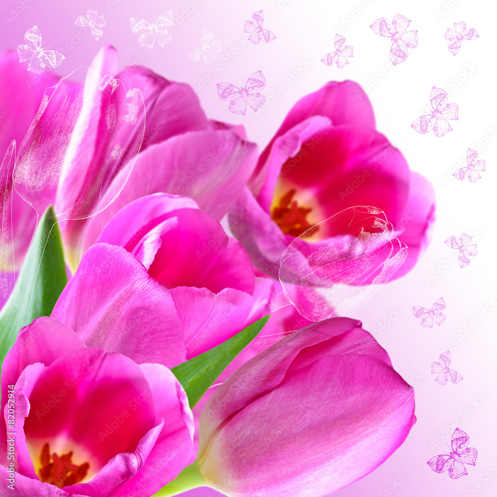 Obraz premium Collage with pink tulips
