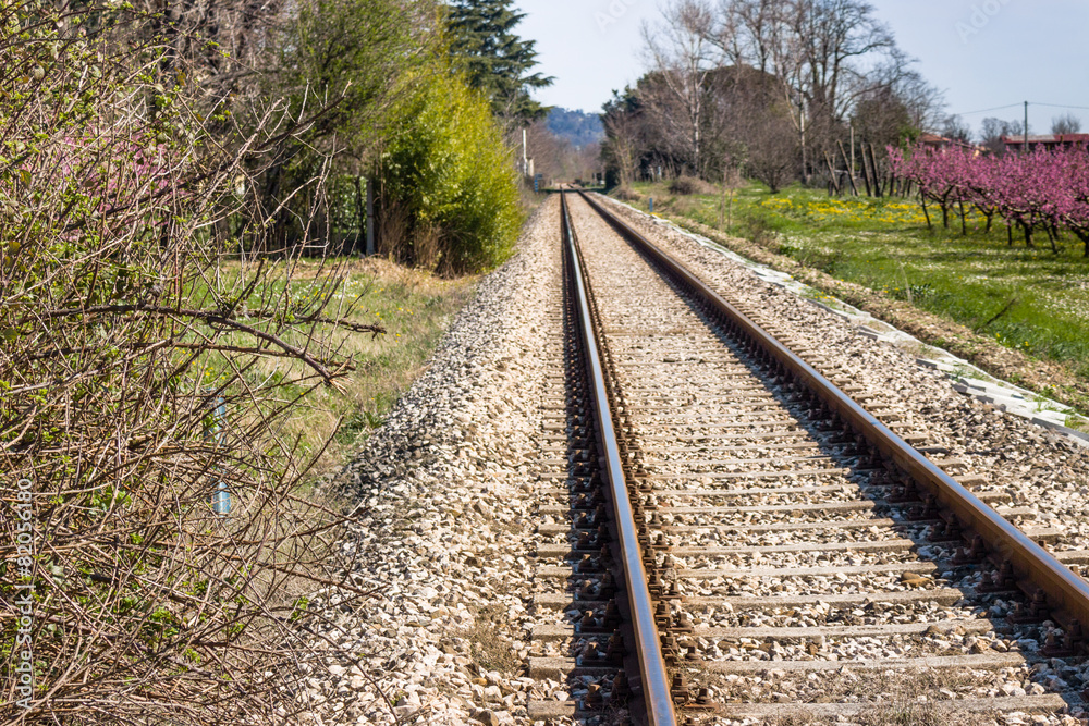 railroad tracks toward the horizon along blossoming peach trees
