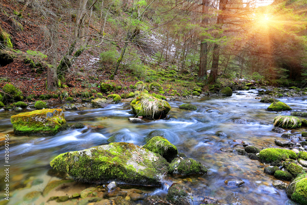 Obraz premium Mountain river in forest