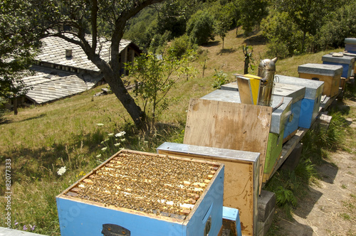 beekeper at work