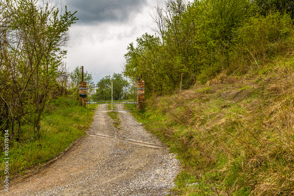 Fototapeta premium The serenity of a country road in the middle of fields during sp